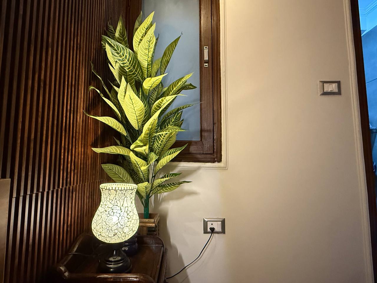 photo 6314549421135301984 y